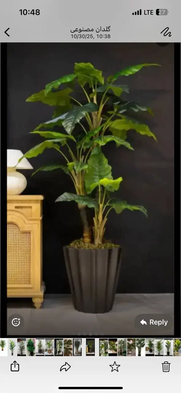 درخت چه|گل مصنوعی|تهران, مشیریه|دیوار