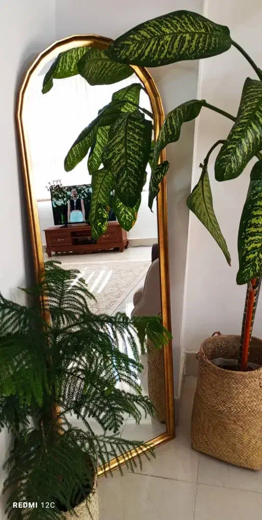 آینه قدی|آینه|فیروزآباد (فارس), |دیوار