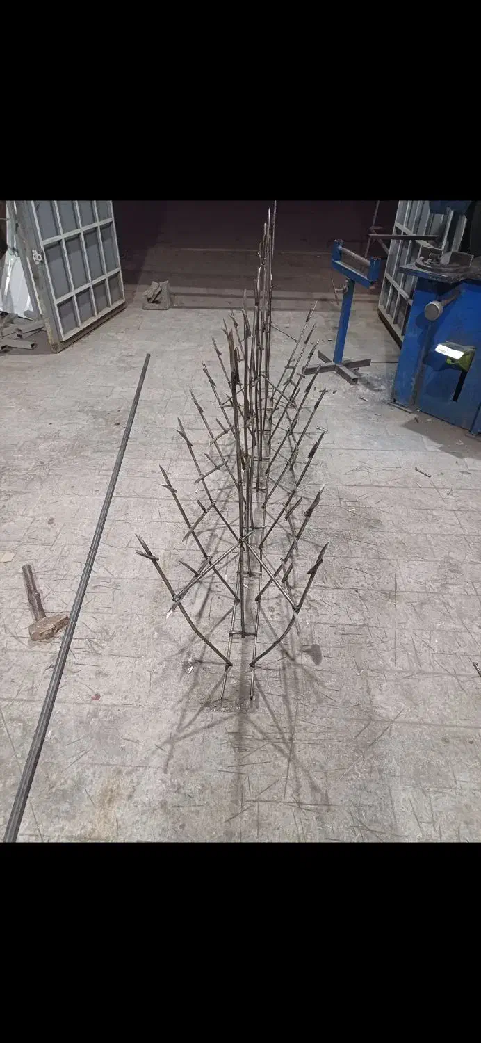 حفاظ های بوته ای و شاخ گوزنی co2|خدمات پیشه و مهارت|گلبهار, شهر جدید گلبهار|دیوار