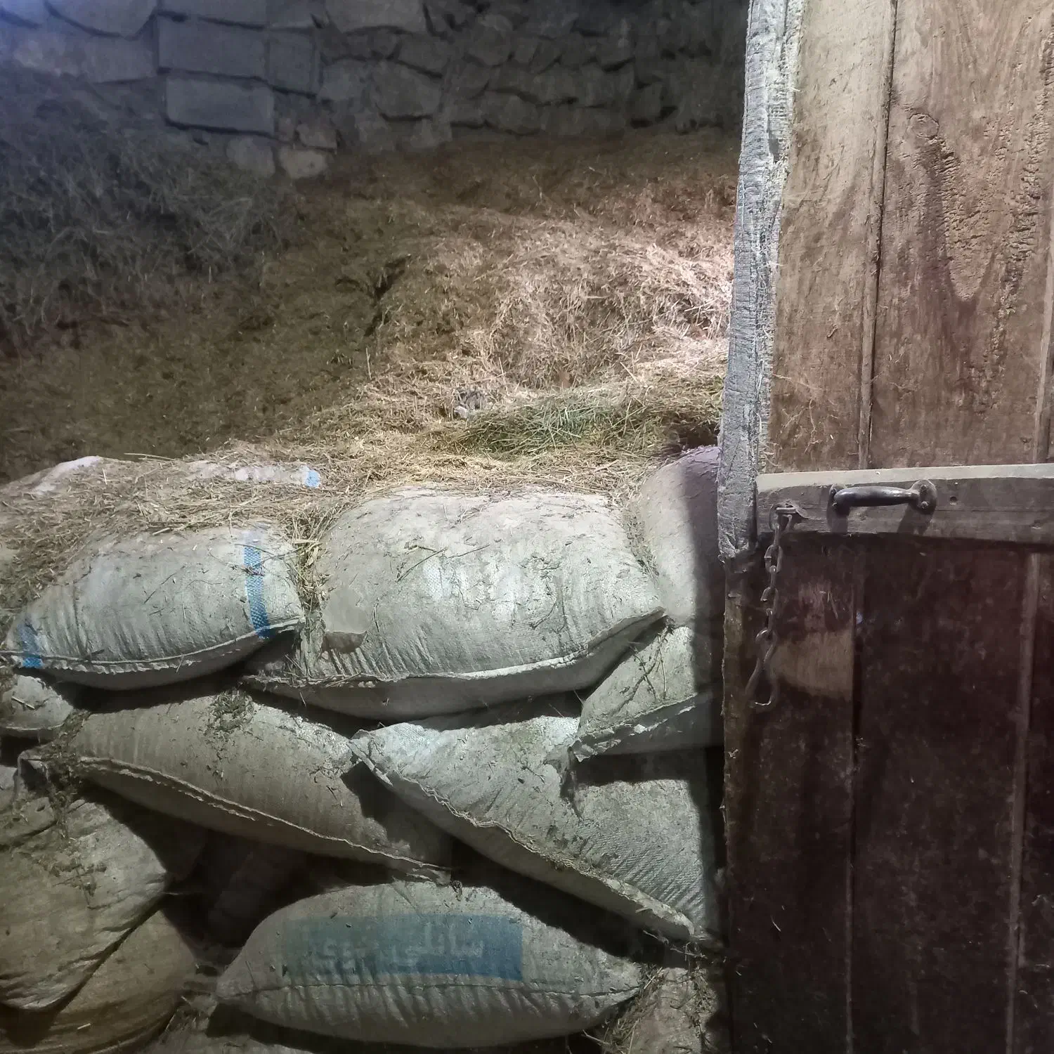 کاه ویونجه|لوازم جانبی حیوانات|خوی, |دیوار