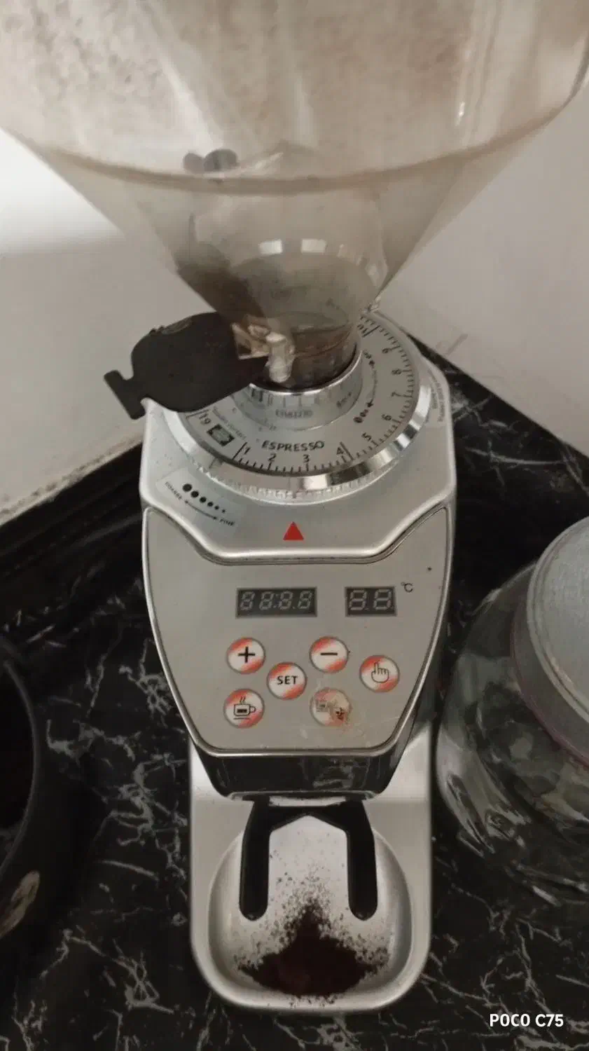 سسگ|کافیشاپ و رستوران|آبیک, |دیوار