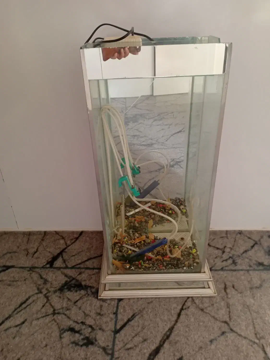 آکواریوم درحدنو|ماهی|بیرجند, |دیوار