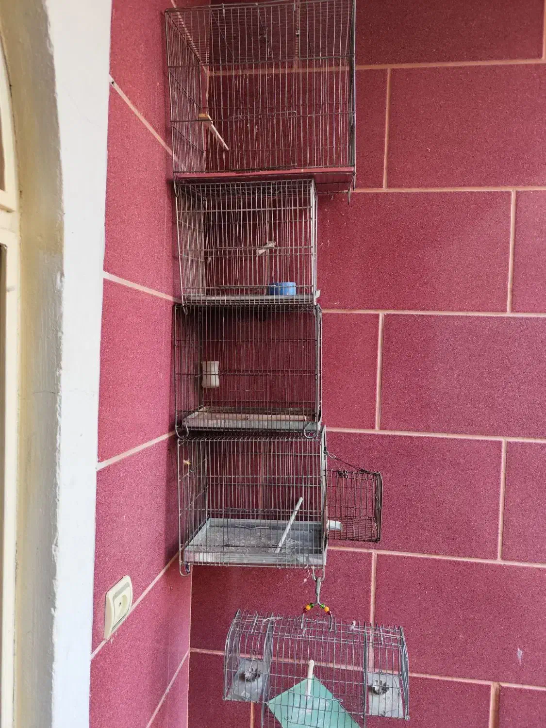 قفس پرنده|لوازم جانبی حیوانات|رباط‌کریم, رباط‌کریم|دیوار