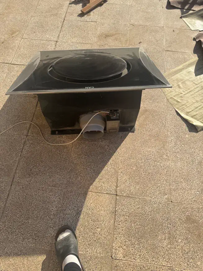 هود|هود|پیشوا, |دیوار