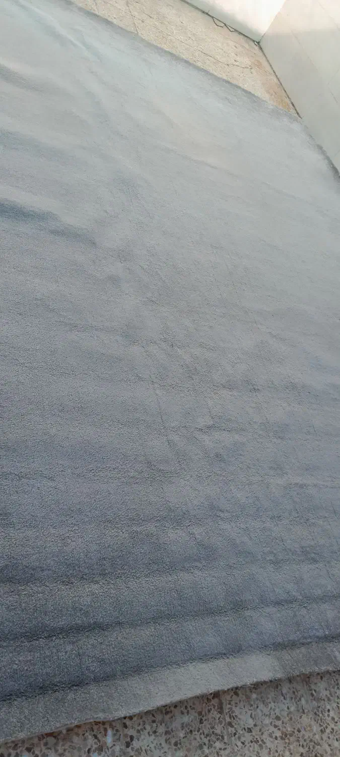 پالاز موکت|موکت|اهواز, سپیدار|دیوار