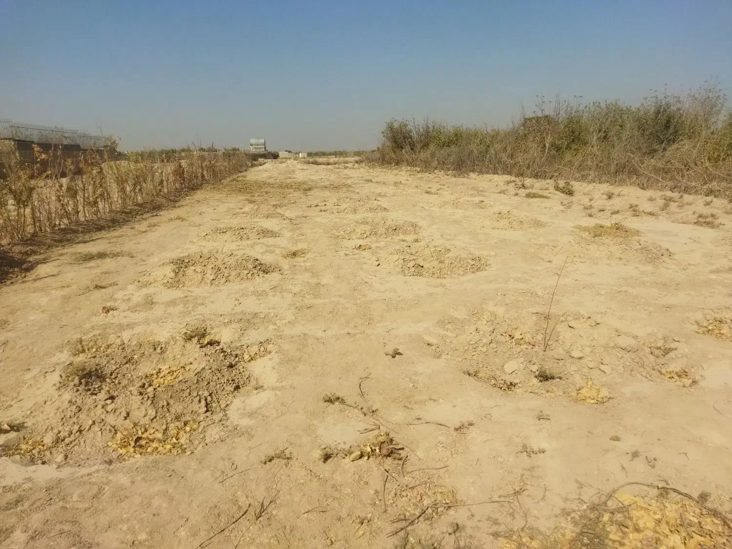 زمین زراعی|فروش دفتر صنعتی، کشاورزی، تجاری|رباطکریم, رباطکریم|دیوار