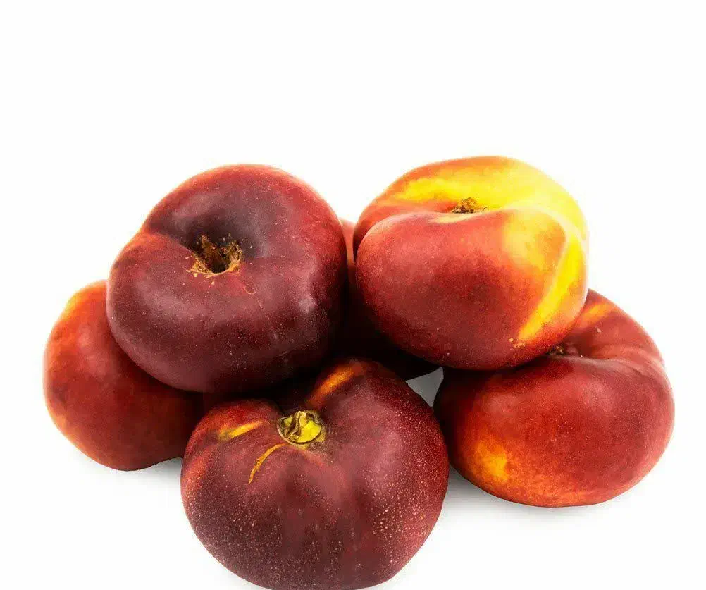 پیشفروش نهال شلیل انجیری|خدمات باغبانی و درختکاری|ارشق, |دیوار