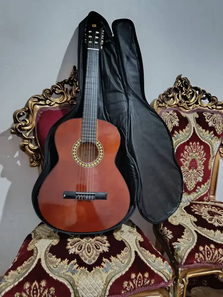 گیتار یاماها،کتاب آموزشی آکسفورد،و کیف نگهدارنده،|گیتار، بیس، امپلیفایر|پیشوا, |دیوار