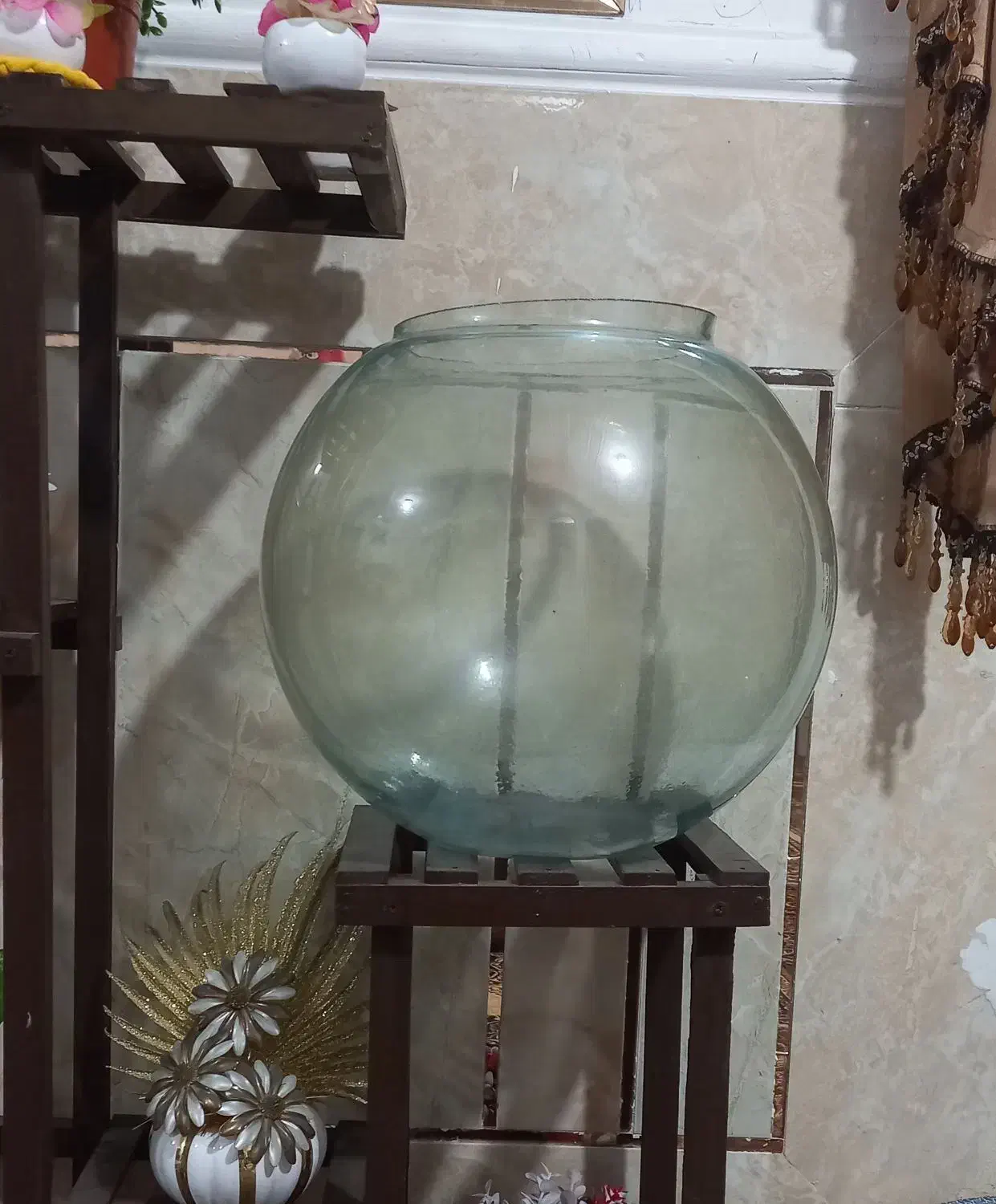 اکواریوم یا تراریوم|ماهی|زاهدان, |دیوار