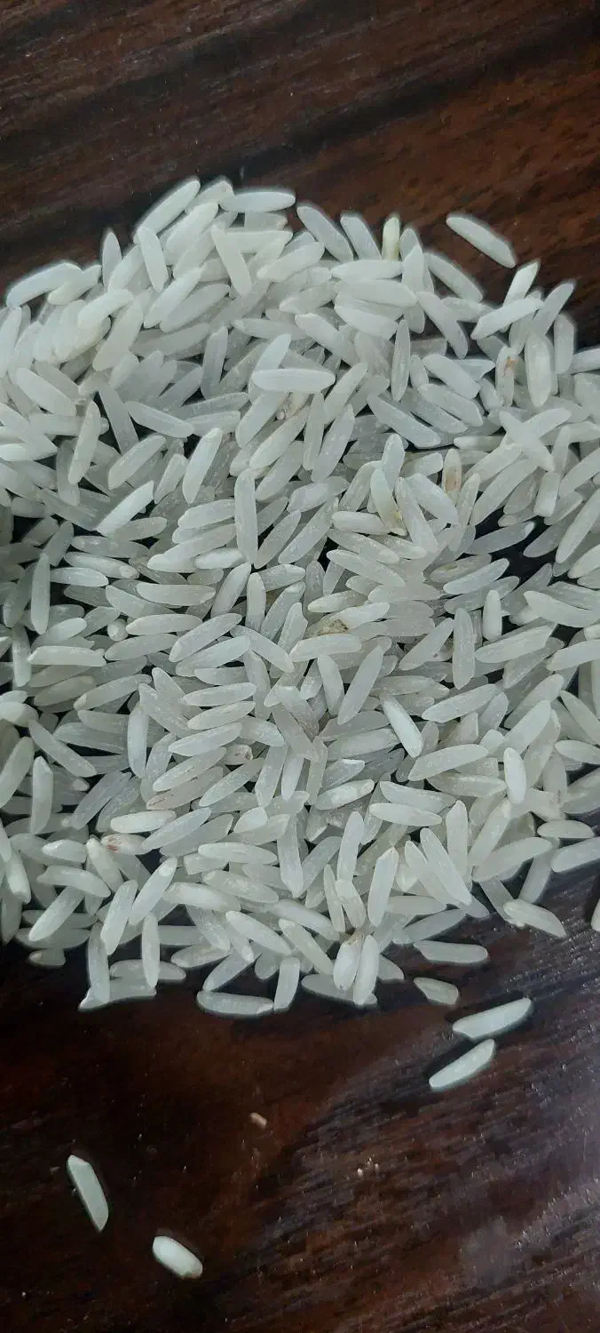 برنج فجرمحلی آب رودخانه یه شرط یکدست بودن|خوردنی و آشامیدنی|مشهد, هنرور|دیوار