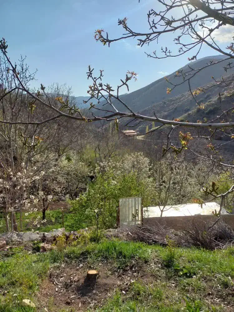 ۳۱۶ متر زمین|فروش زمین و ملک کلنگی|آبعلی, |دیوار