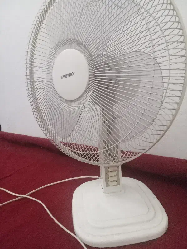 پنکه سانی|پنکه و تصفیهکنندهٔ هوا|لنگرود, |دیوار