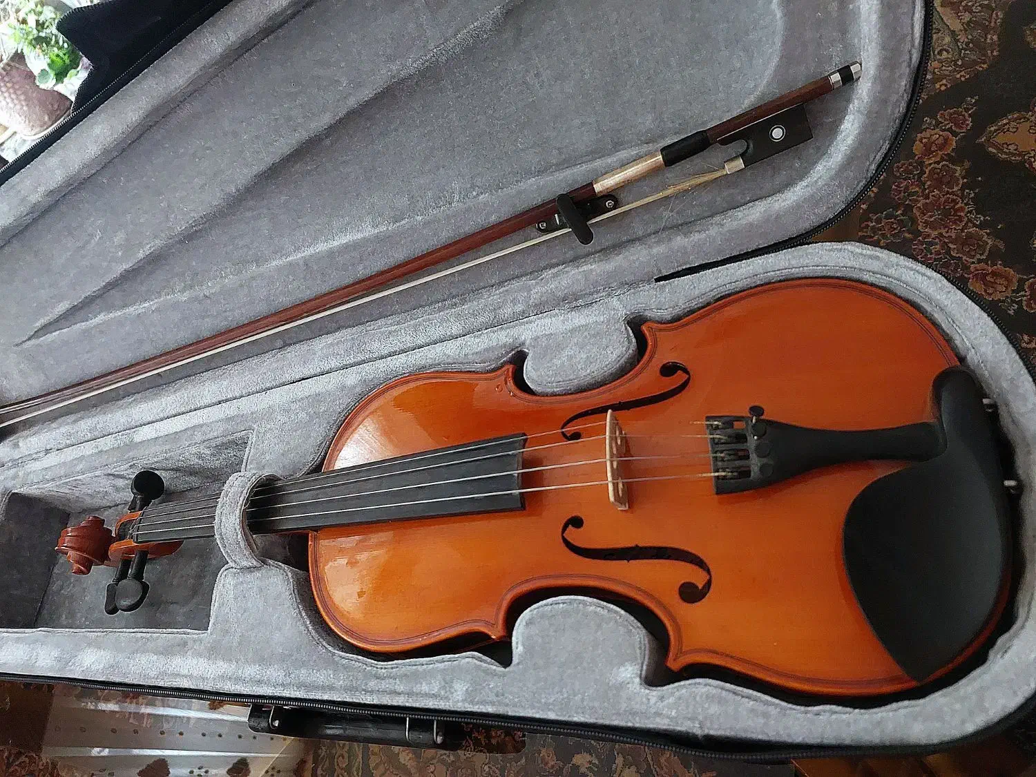 ویولن tf132|ویولن|اصفهان, باغ فردوس|دیوار