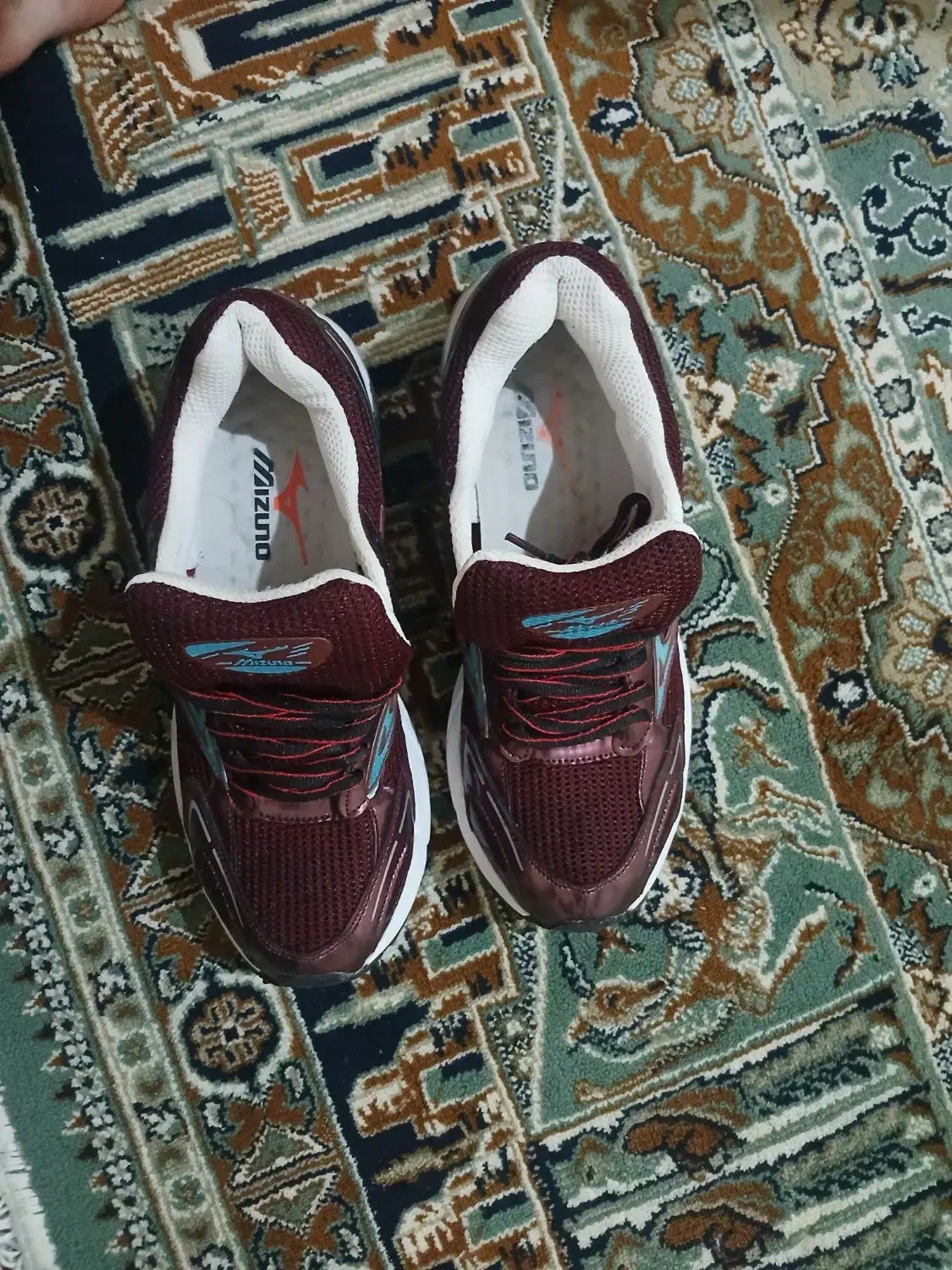 کفش|کیف، کفش، کمربند|سنقر, |دیوار