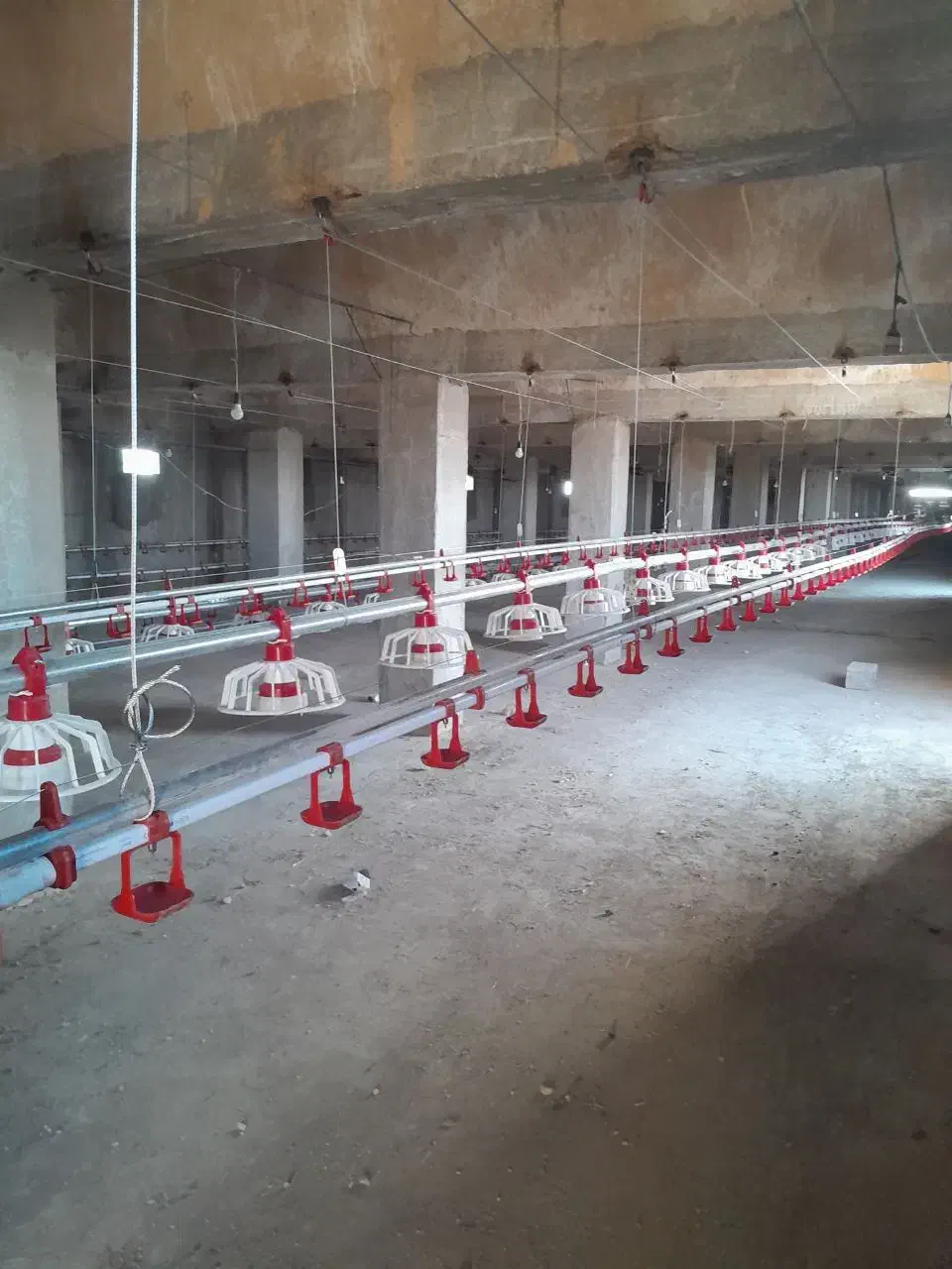 لوازم مرغداری کلیه تجهیزات|ماشین‌آلات صنعتی|لوشان, |دیوار