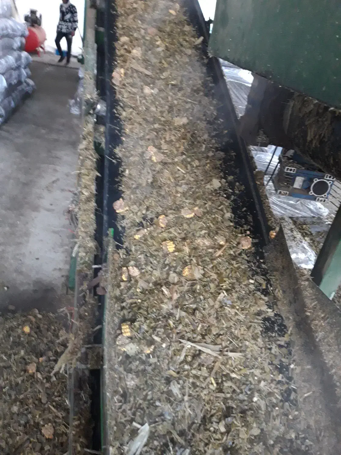 ذرت سیلاژ پر دان|عمده‌فروشی|بشاریات, |دیوار