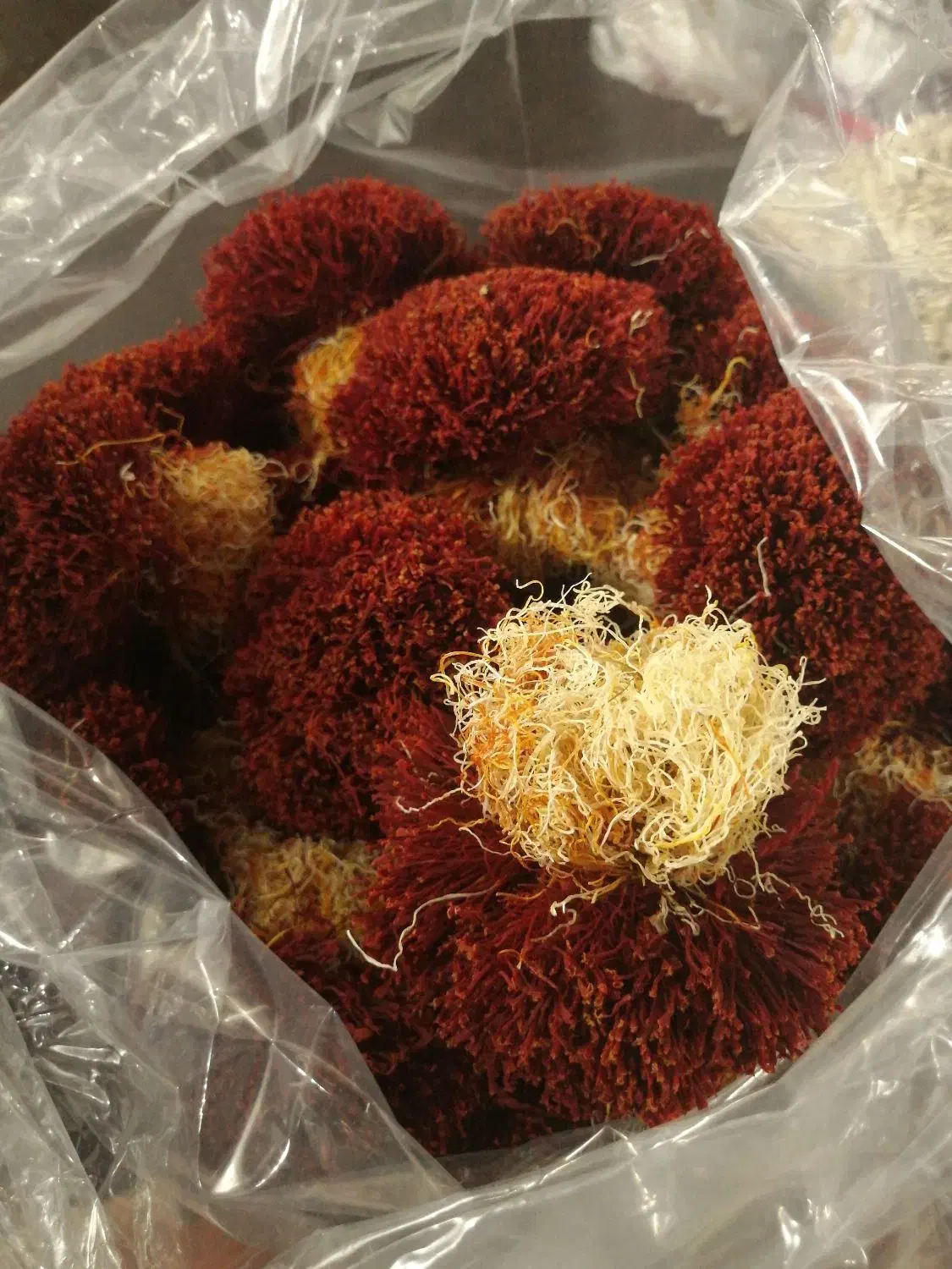 زعفران دخترپیچ|خوردنی و آشامیدنی|سرایان, |دیوار