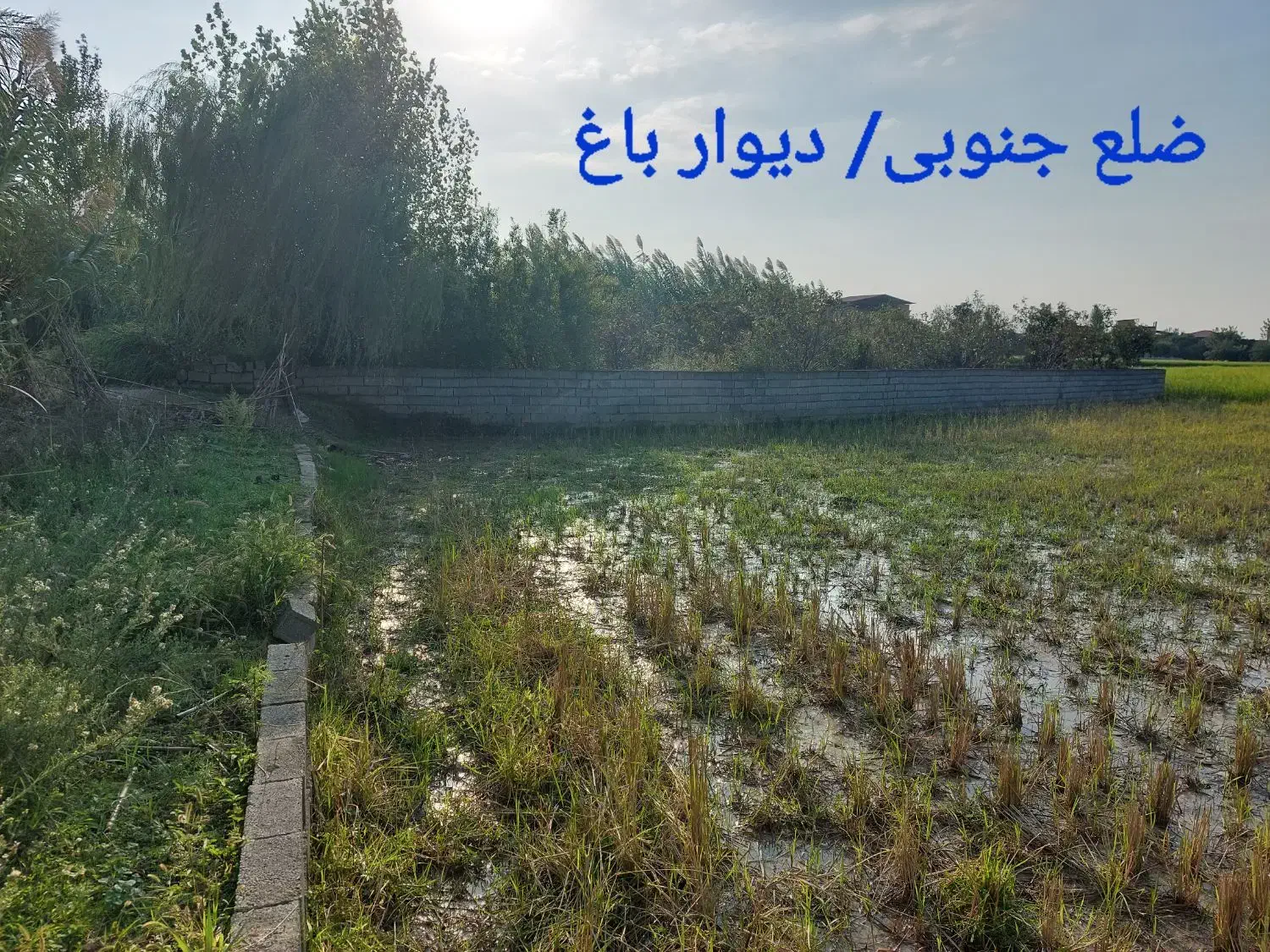 فروش زمین کشاورزی|فروش زمین و ملک کلنگی|زرگرشهر, |دیوار