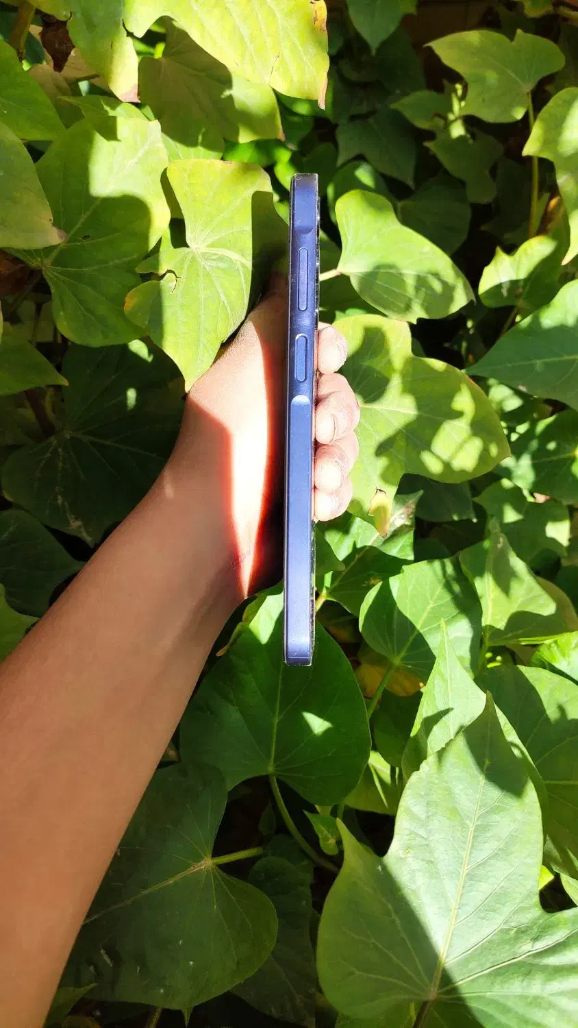 A25سامسونگ  حافظه256|موبایل|اهواز, شهرک پیام|دیوار