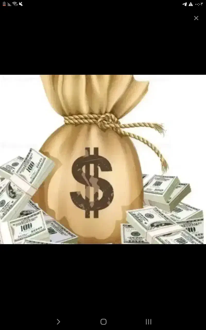 وام خانگی ۵۰ میلیونی|فعالیت داوطلبانه تحقیقاتی|بوشهر, |دیوار