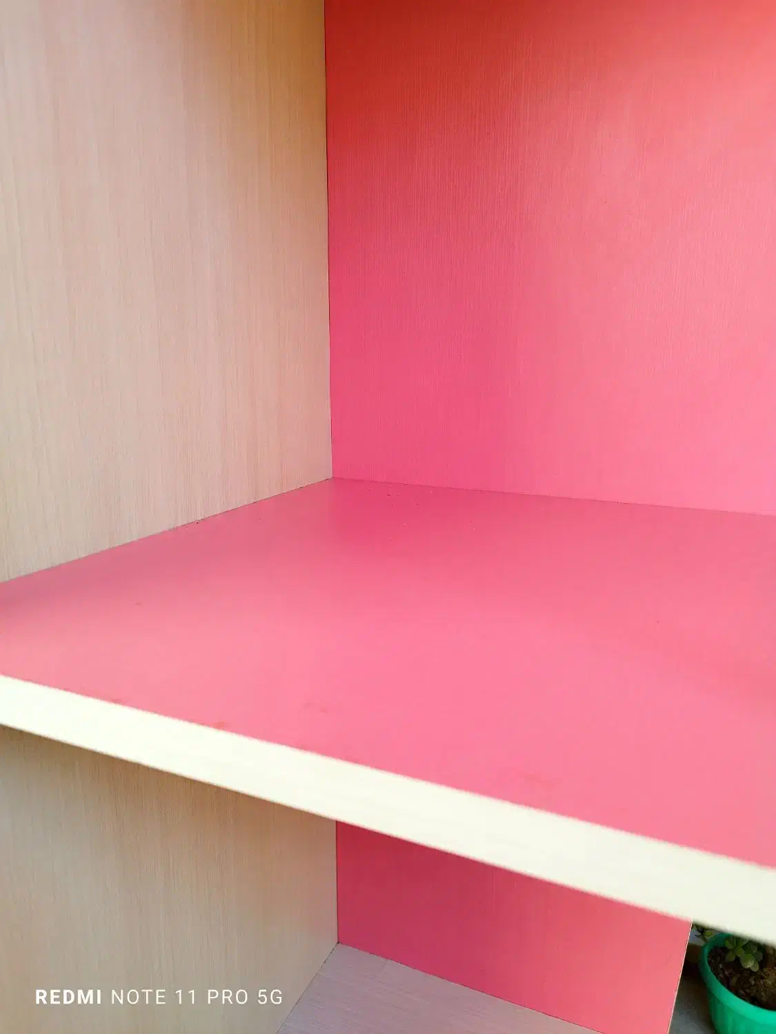 کتابخانه و ویترین سالم|کتابخانه، شلف، قفسههای دیواری|قم, بنیاد|دیوار