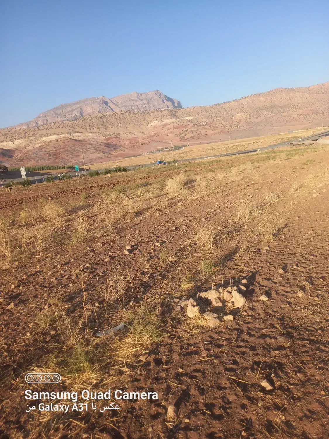 زمین باغ .کشاورزی|فروش زمین و ملک کلنگی|ویسیان, |دیوار