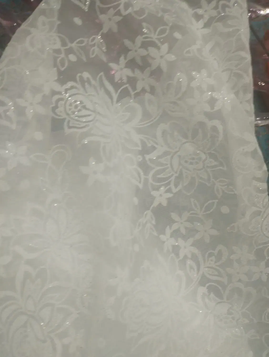 دو تا چادر سفید عروس نو|لباس|رشت, فرزانه|دیوار