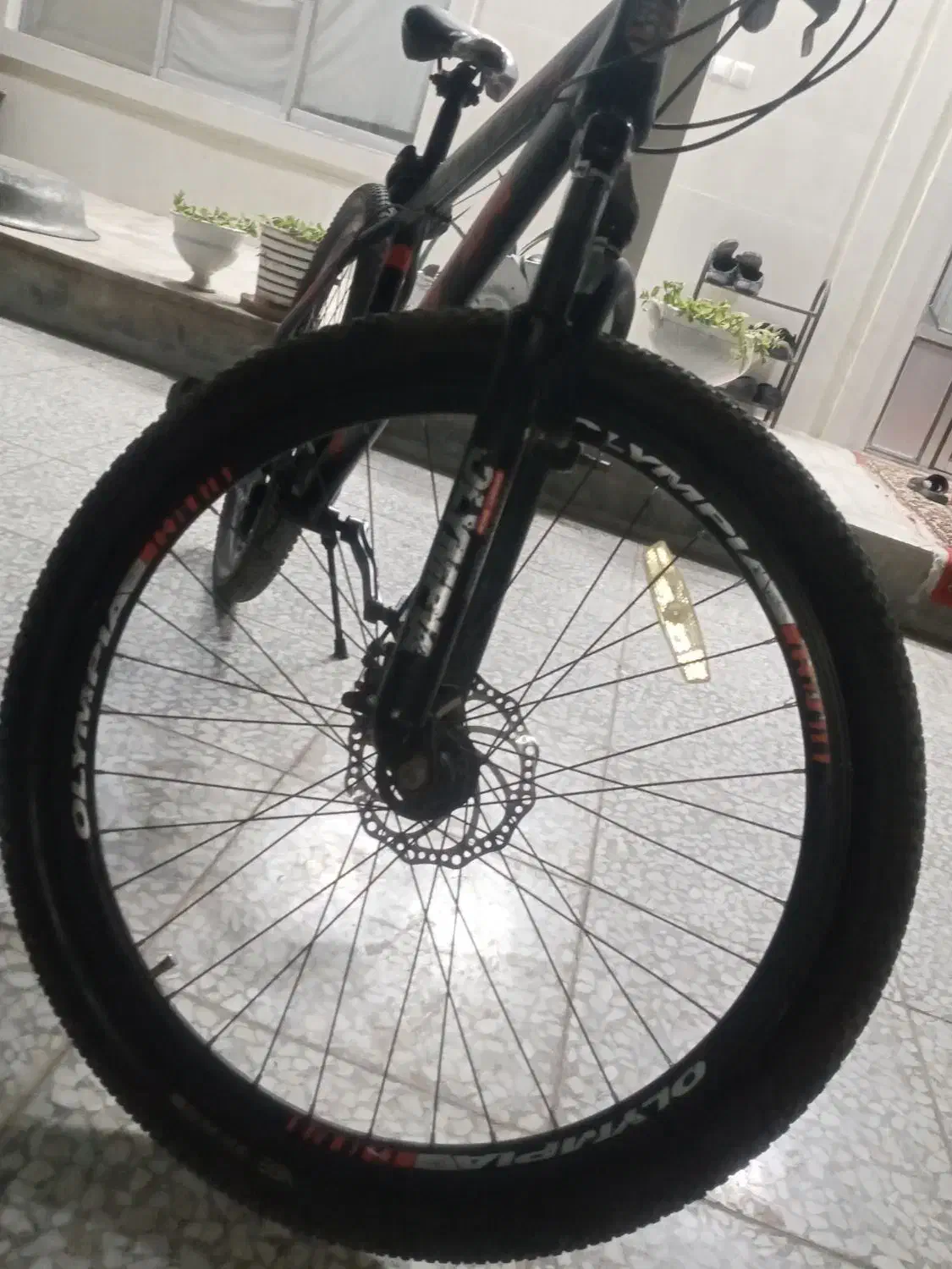 دوچرخه|دوچرخه، اسکیت، اسکوتر|طبس, |دیوار