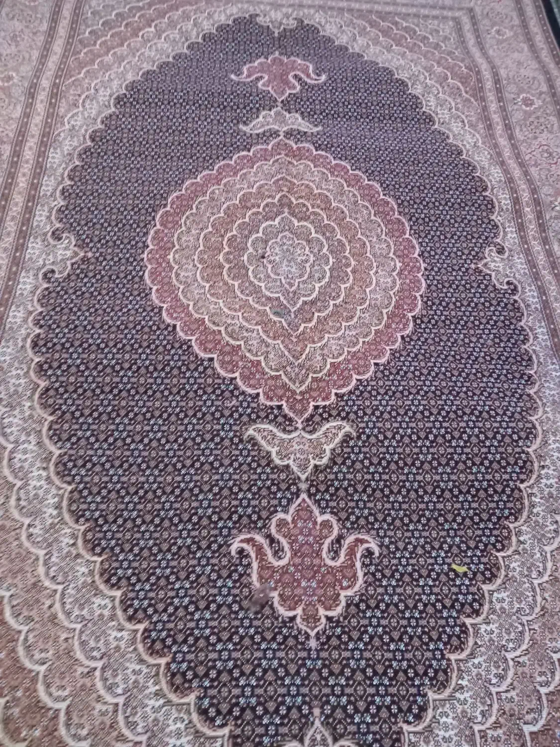 فرش ماهی خوی|فرش|مرند, |دیوار