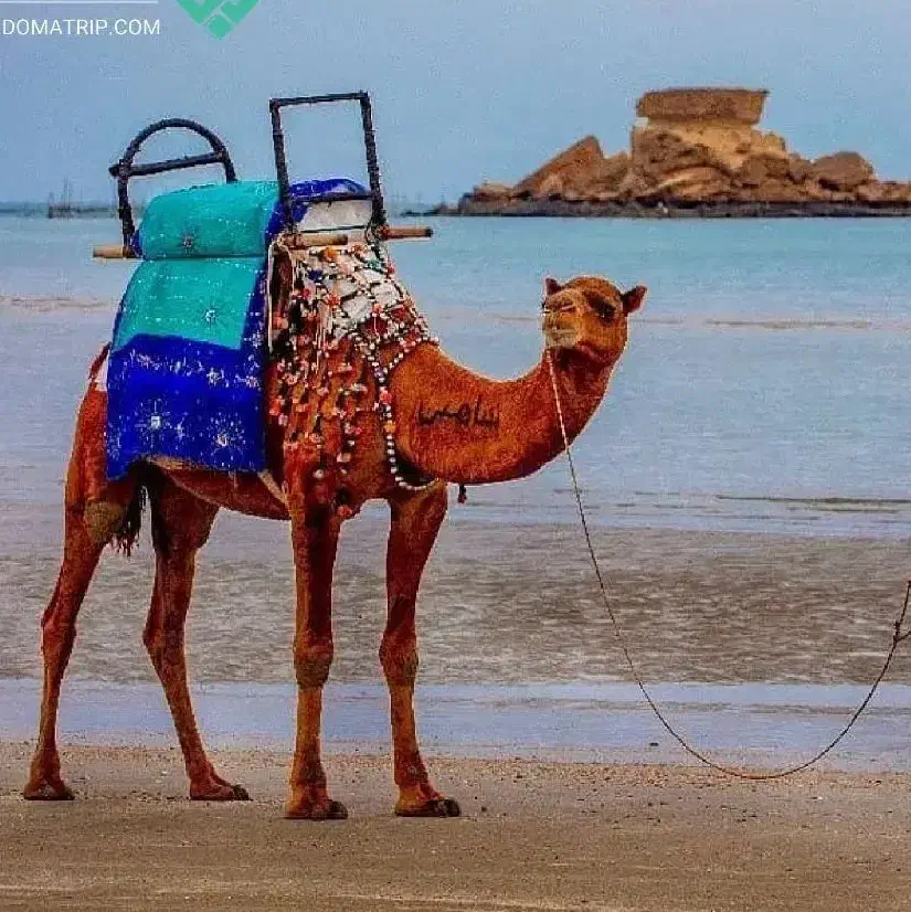 تور تفریحی گردشگری قشم|تور و چارتر|لاهیجان, گلستان|دیوار