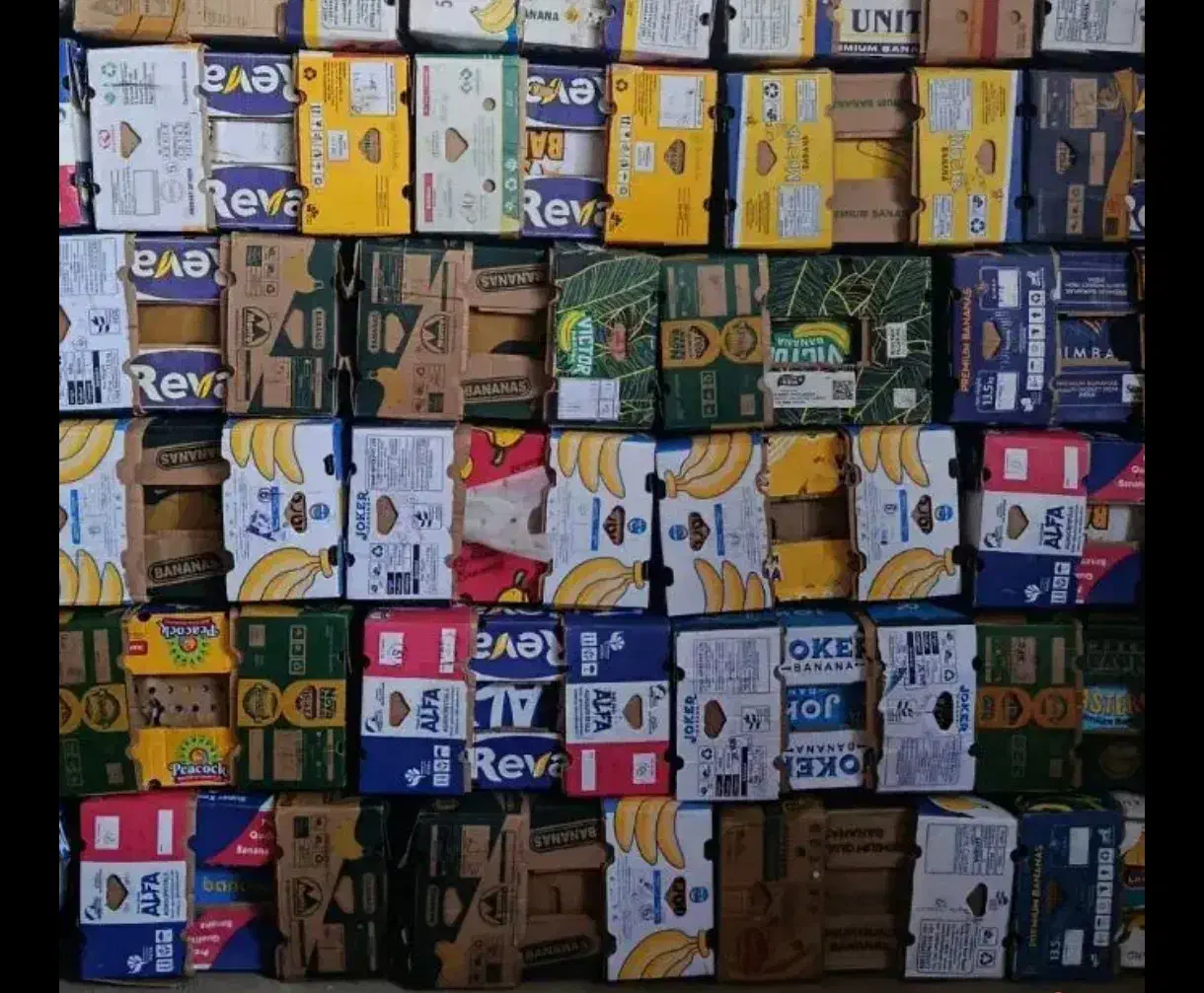 کارتون موز|عمده‌فروشی|کرمانشاه, |دیوار