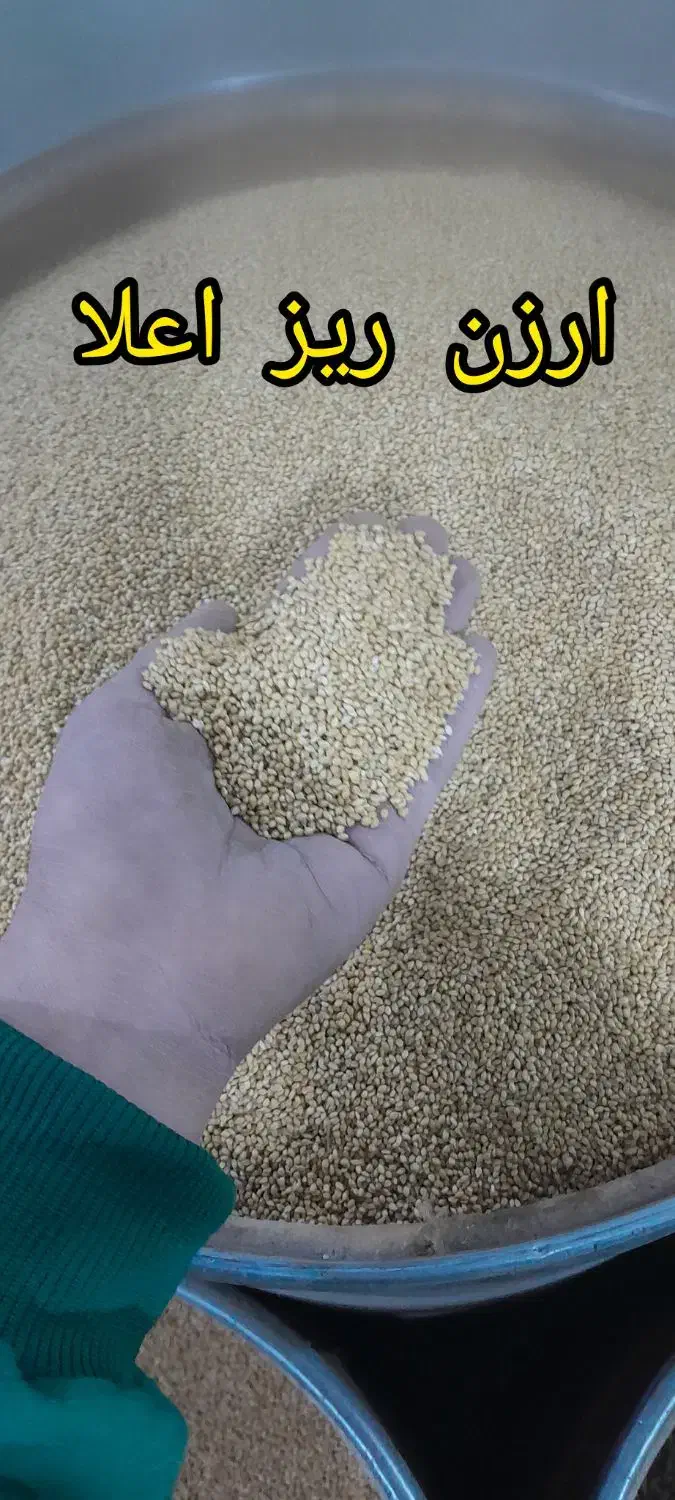 پخش عمده لوازم پرنده|لوازم جانبی حیوانات|خاوران, |دیوار