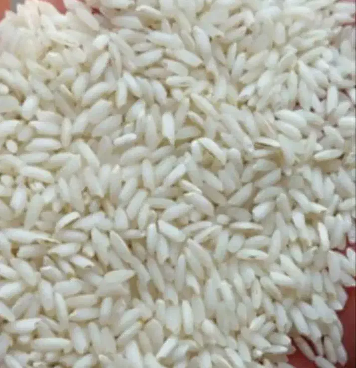 برنج عنبر بو درجه یک شوشتر|خوردنی و آشامیدنی|شیراز, فرگاز|دیوار