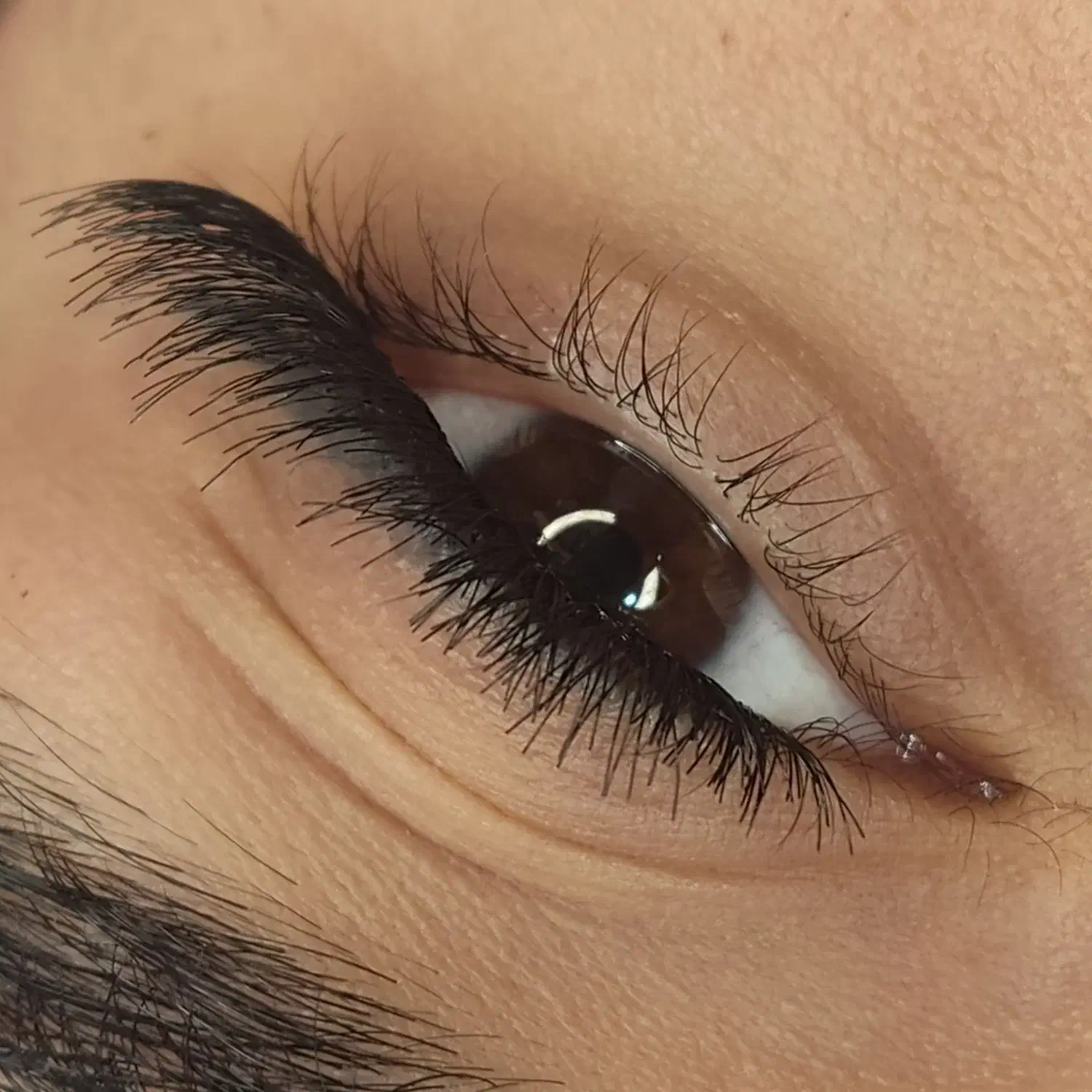 کاشت مژه|خدمات آرایشگری و زیبایی|فولادشهر, C3|دیوار