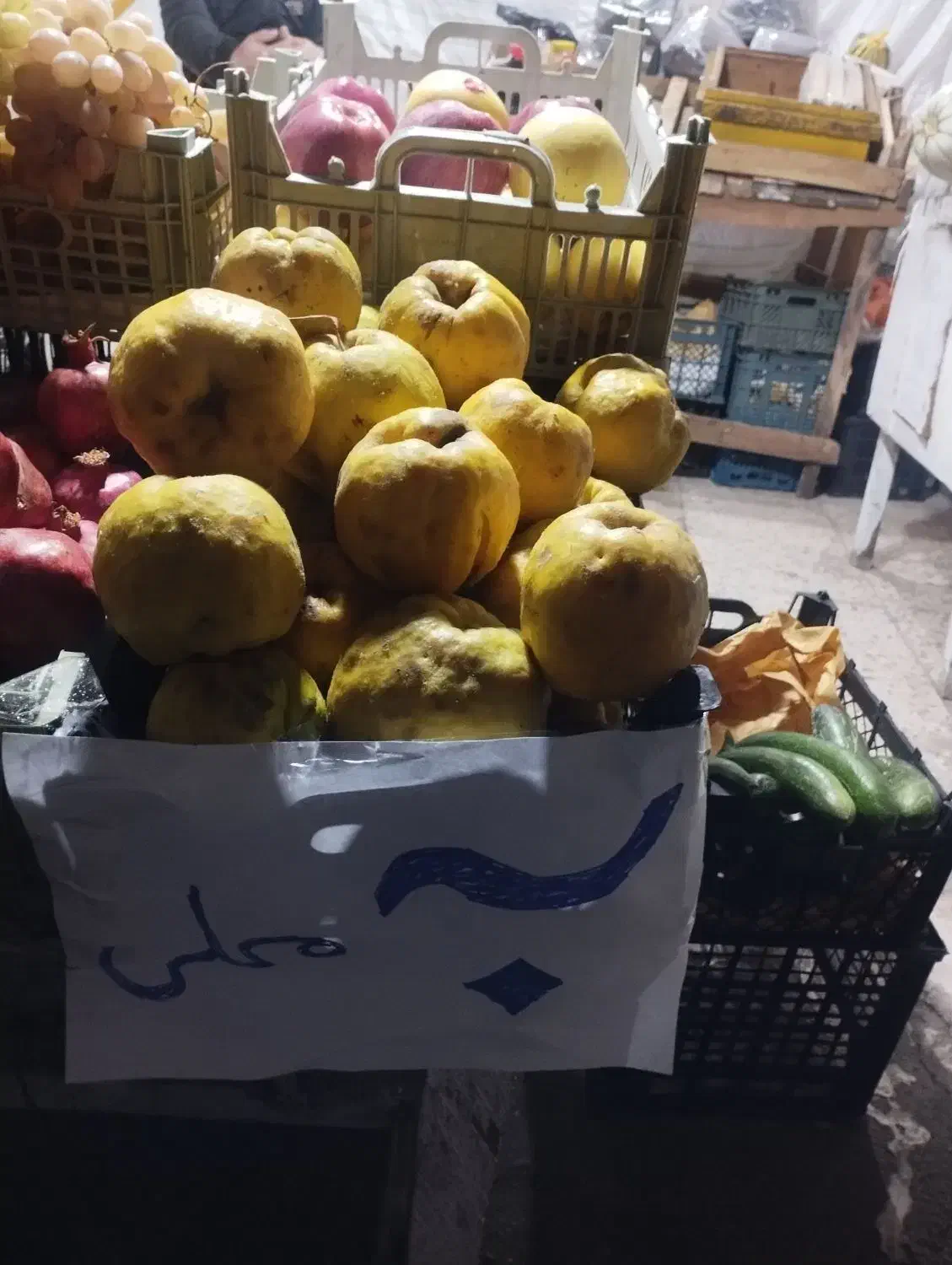 به محلی ارگانیک|خوردنی و آشامیدنی|رشت, یخسازی|دیوار