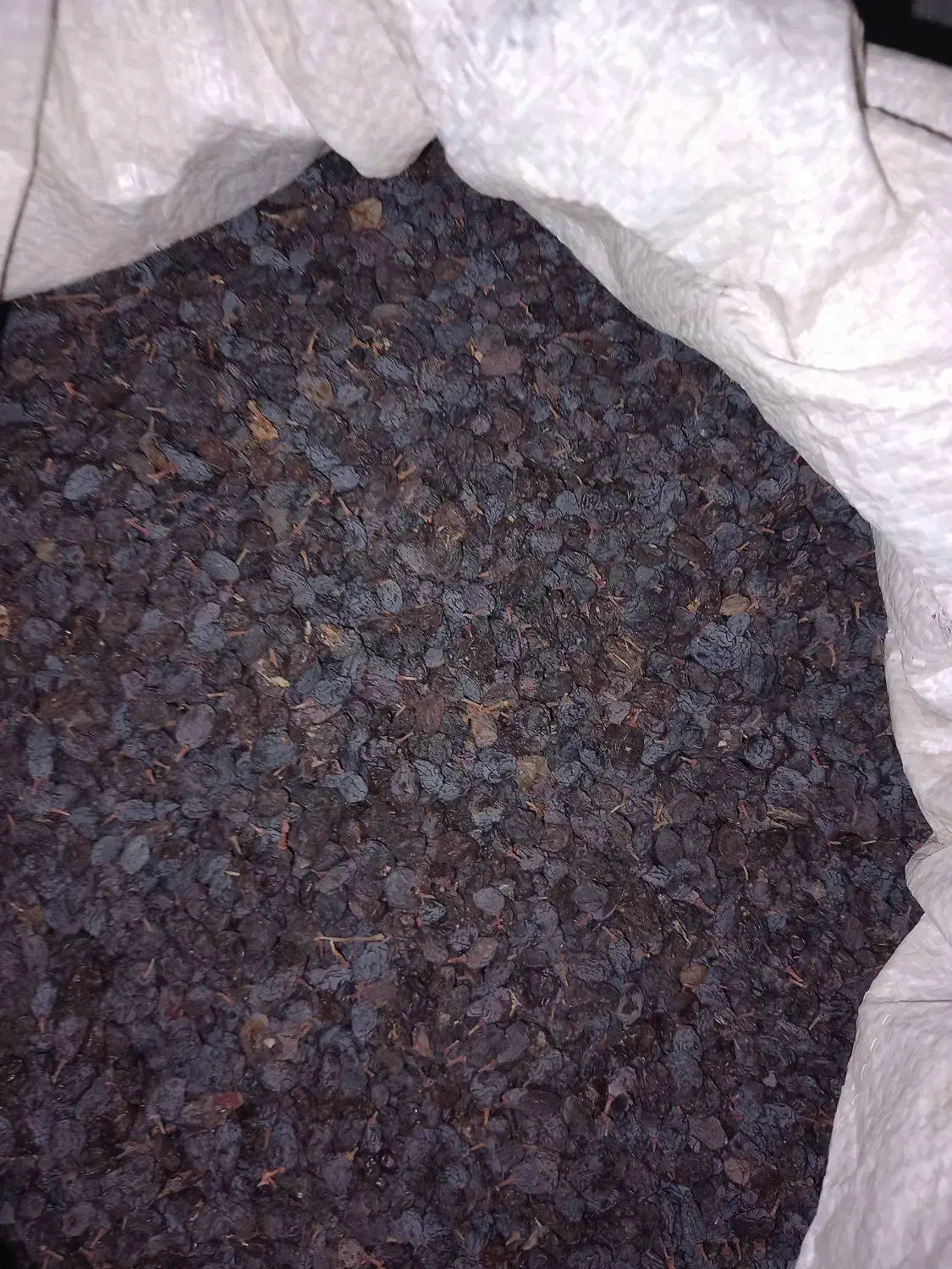 کشمش افتابی|خوردنی و آشامیدنی|بناب, |دیوار