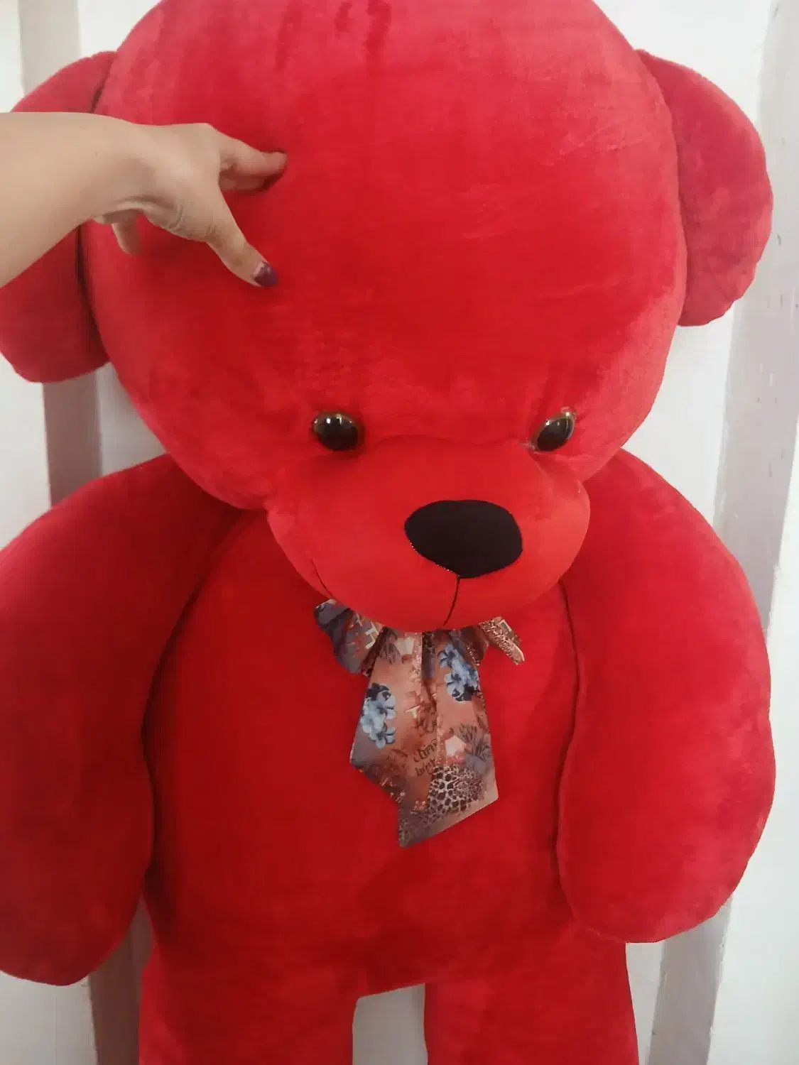 خرس عروسک|اسباب‌‌بازی|بجنورد, |دیوار