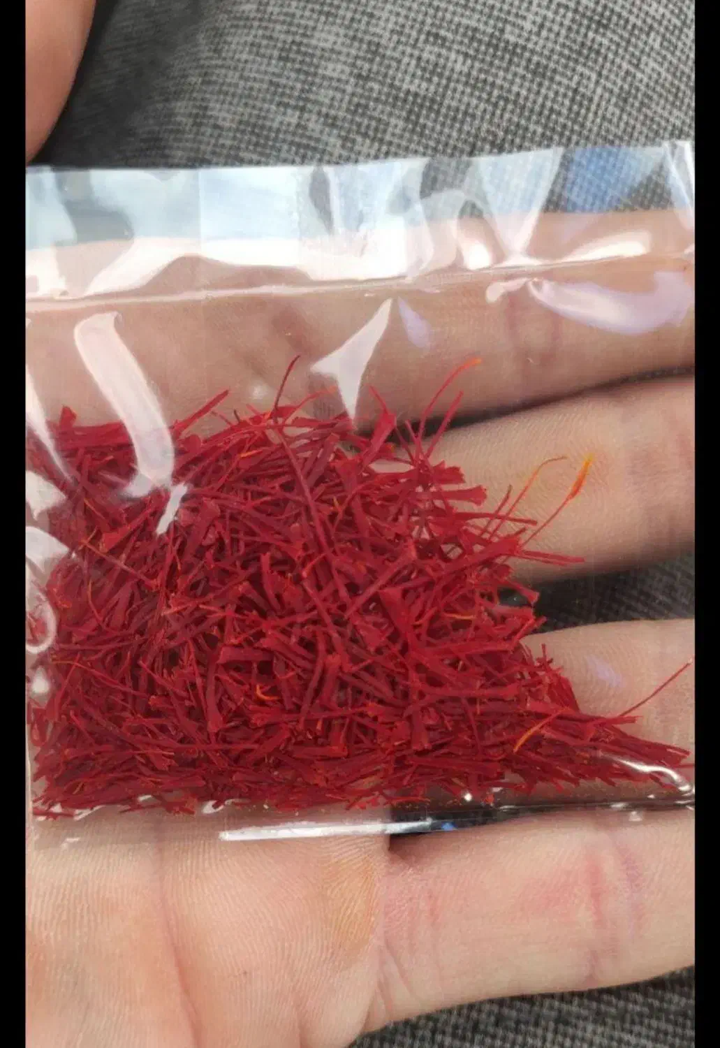 فروش گل زعفران|عمدهفروشی|تربتحیدریه, ترمینال|دیوار