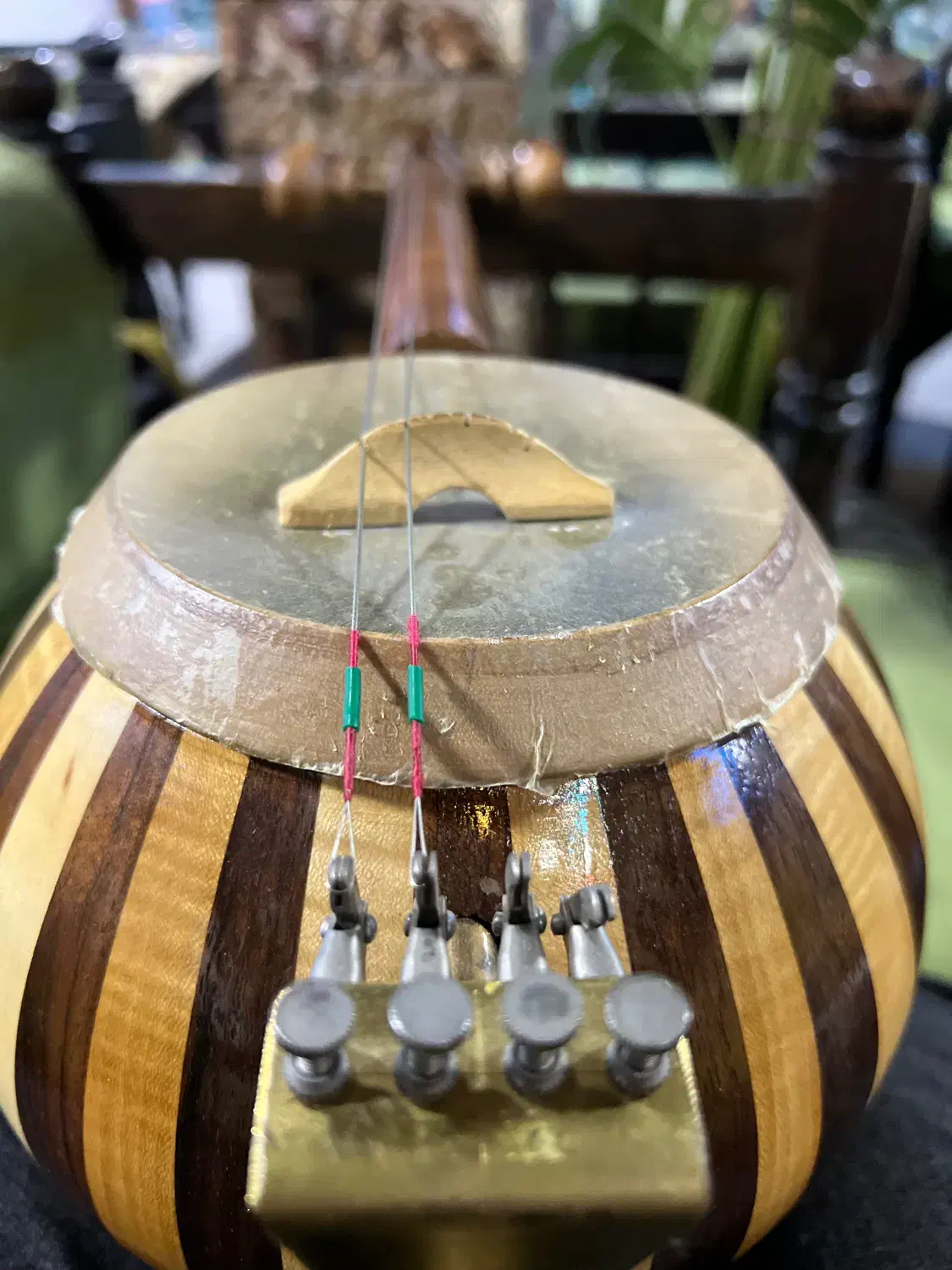 کمانچه در‌حد نو|سازهای سنتی|تهران, ایرانشهر|دیوار