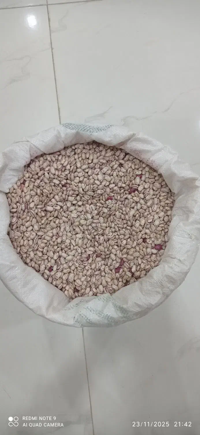 لوبیا چیتی|عمده‌فروشی|مریوان, |دیوار