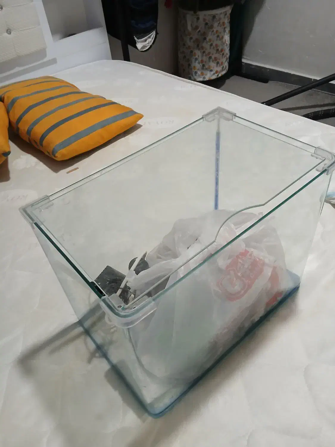 معاوضه|ماهی|دزفول, |دیوار