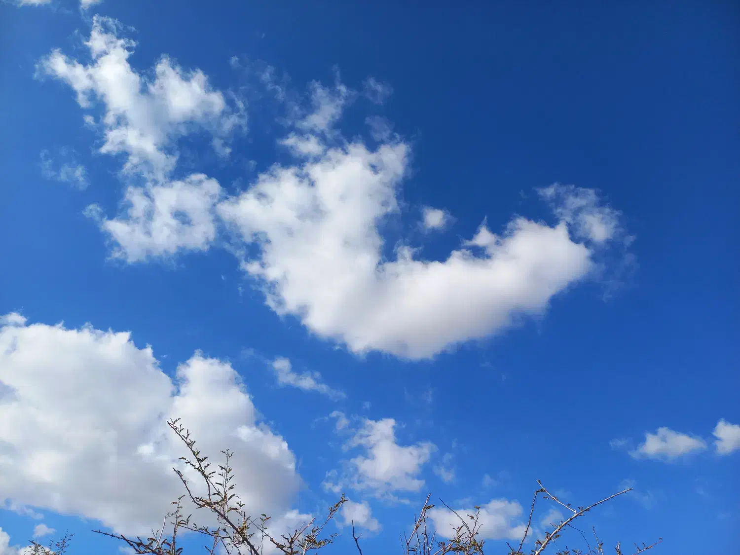 فروش زمین مسکونی تجاری|فروش زمین و ملک کلنگی|خنج, |دیوار