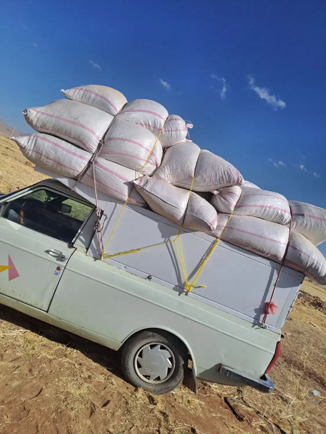 کاه لوبیا کاه گندم|خدمات باغبانی و درختکاری|دوتپه, |دیوار