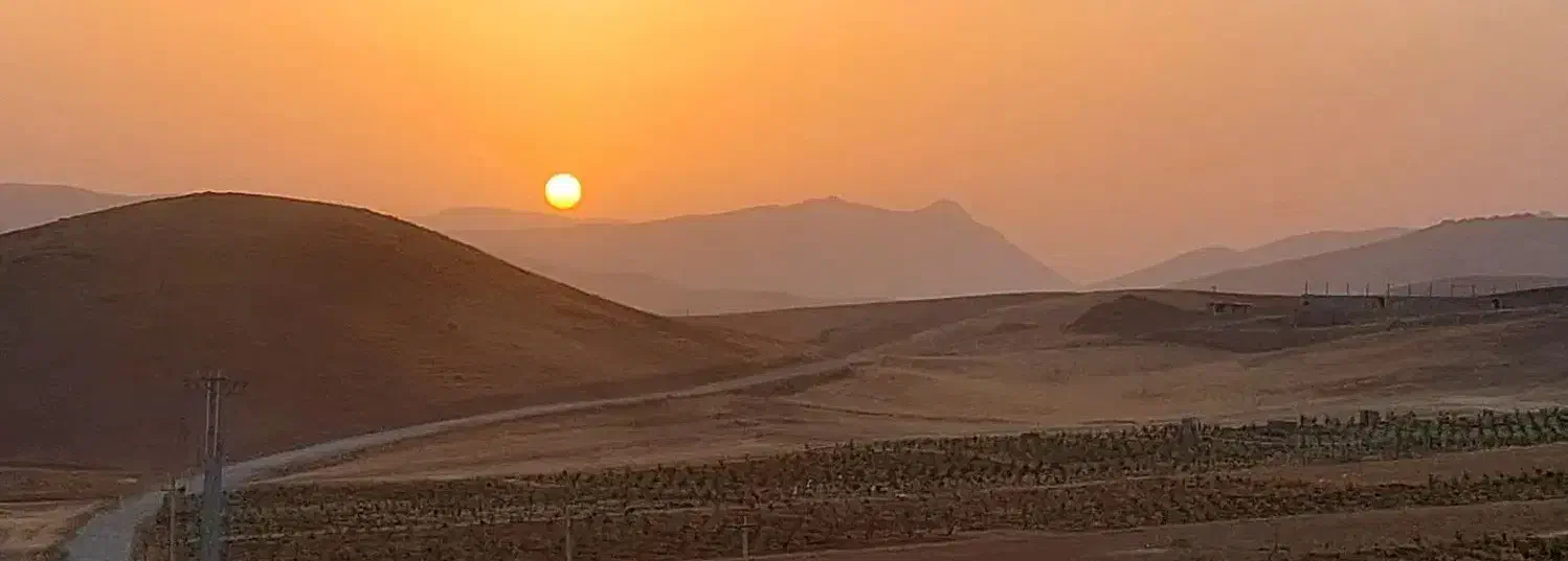 تعبیر خواب|خدمات پذیرایی، مراسم|سنندج, |دیوار