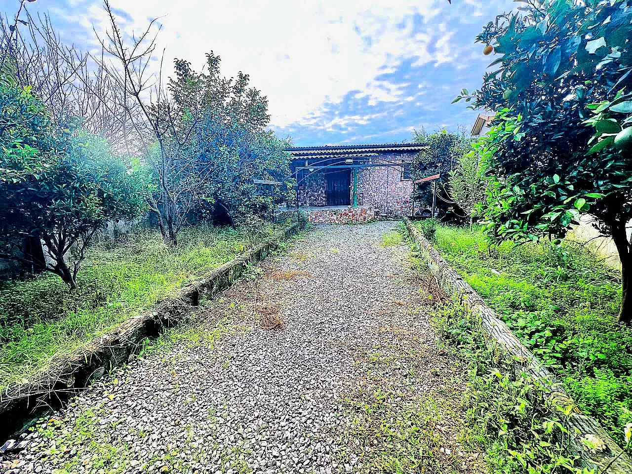 باغ ویلا کلنگی زیرقیمت/ بافت کامل/ سند تک برگ|فروش زمین و ملک کلنگی|محمودآباد, |دیوار