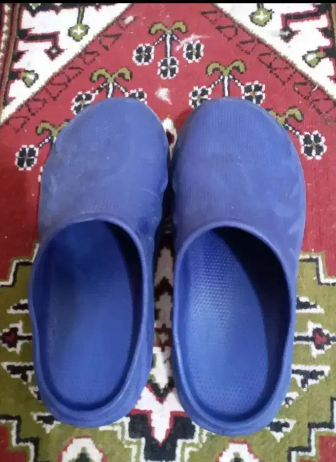 دمپایی بزرگسال|کیف، کفش، کمربند|تبریز, |دیوار