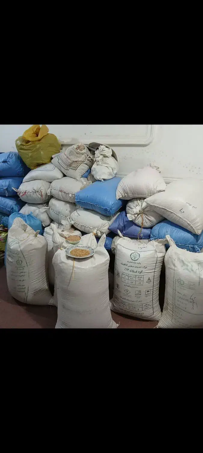 گندم سه دهه|عمدهفروشی|سوق, |دیوار