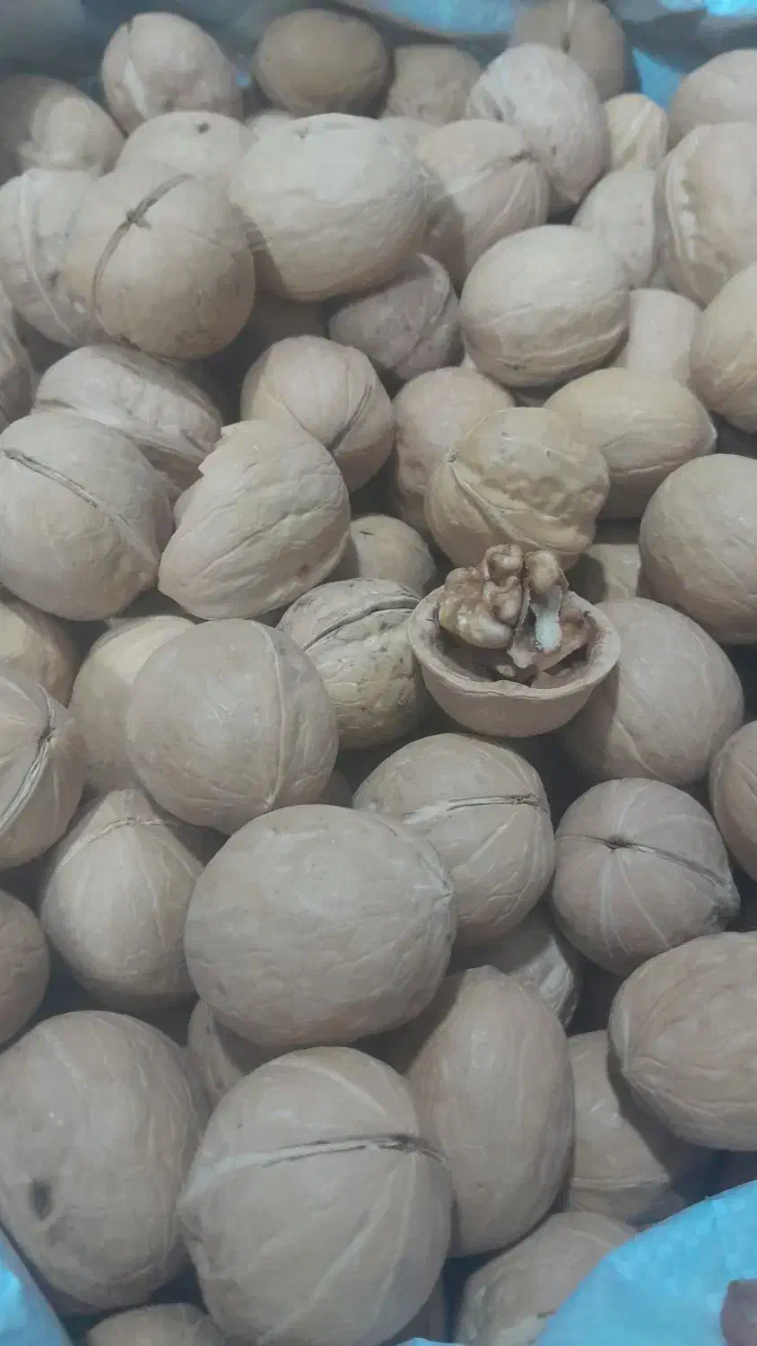 کالا برگ‌ برنج  وحبوبات|خوردنی و آشامیدنی|بندر امام خمینی, |دیوار