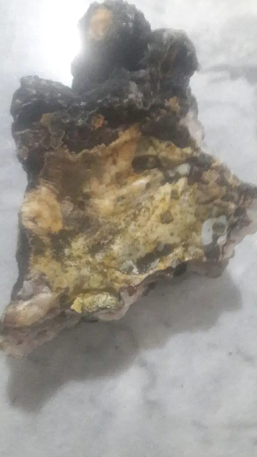 سنگ|کلکسیون اشیاء عتیقه|رشت, کوی حسینی|دیوار