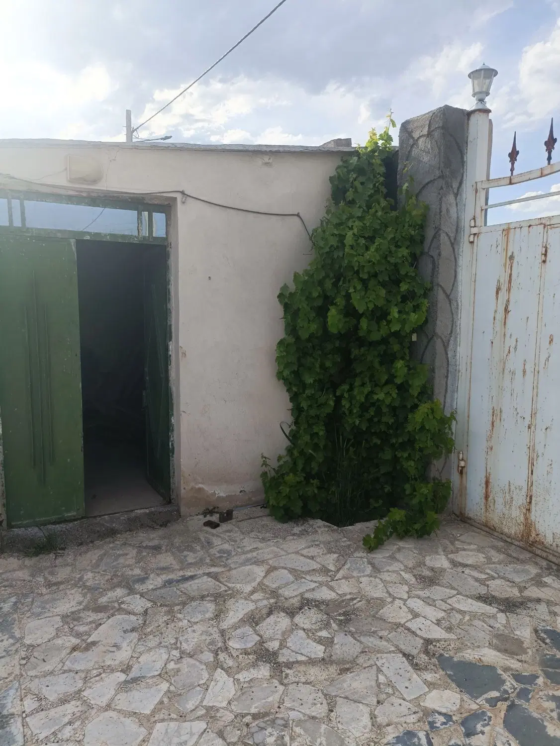 تصویر 19